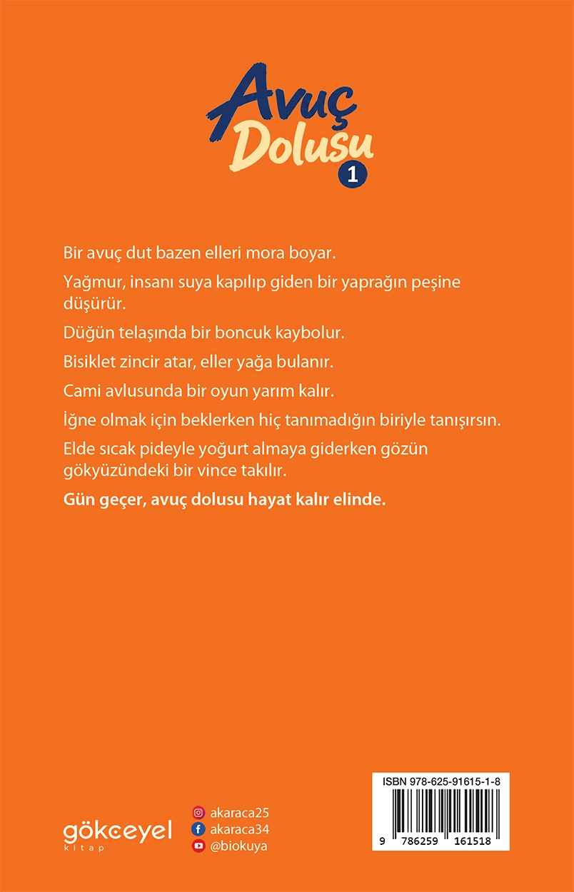 Avuç Dolusu-1 / Abdullah Karaca