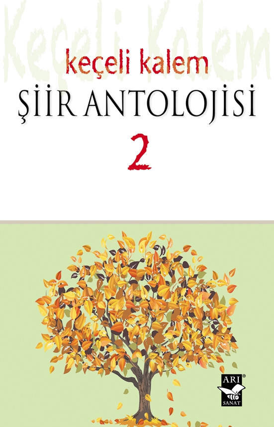 Keçeli Kalem Şiir Antolojisi - 2 / Elif Yıldırım Aka