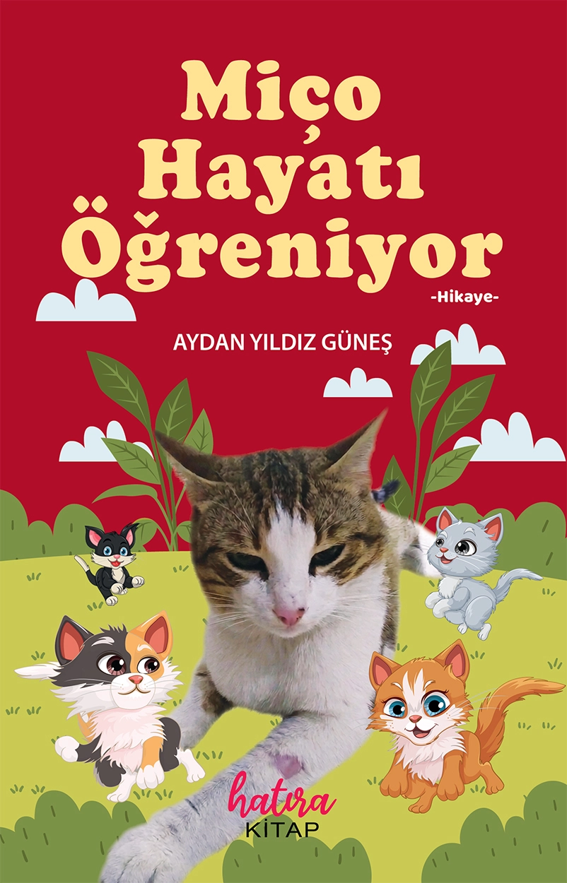 Miço Hayatı Öğreniyor / Aydan Yıldız Güneş